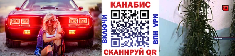 купить закладку  Полярный  Марихуана SATIVA & INDICA 